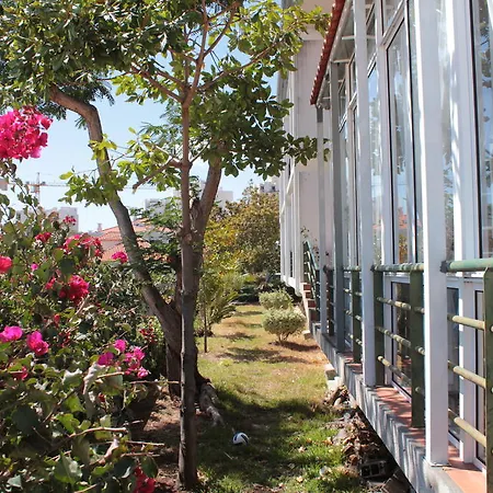 Pensionat Monte Verde Funchal (Madeira)