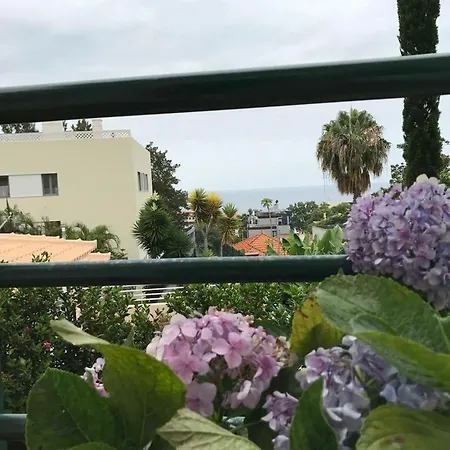 Monte 3* Funchal (Madeira)