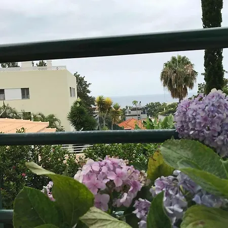 Monte * Funchal (Madeira)