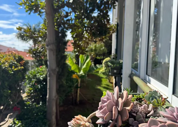 Monte Vendégház Funchal