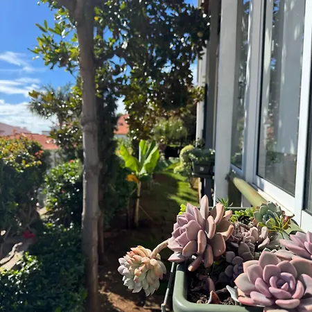 Monte Pensión Funchal (Madeira)